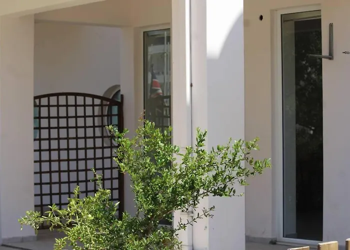 Apartament Spacious & Cozy Apartment, With Big Yard, In