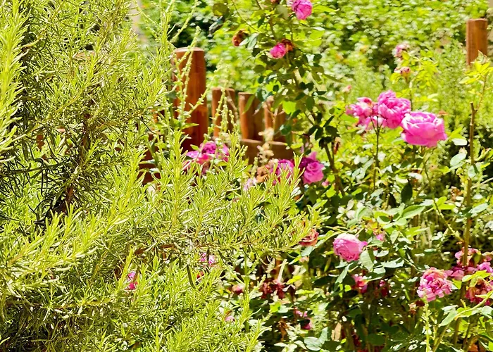 Apartament Spacious & Cozy Apartment, With Big Yard, In *