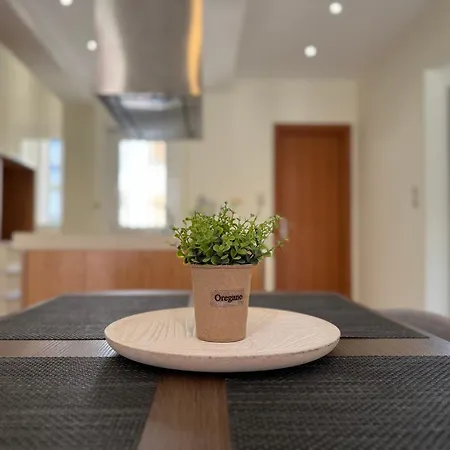 Spacious & Cozy Apartment, With Big Yard, In Apartmán