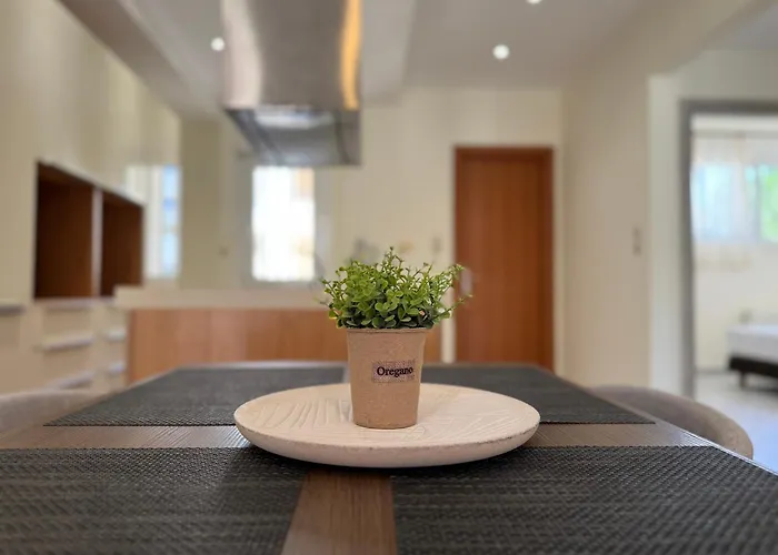 Spacious & Cozy Apartment, With Big Yard, In Apartmán