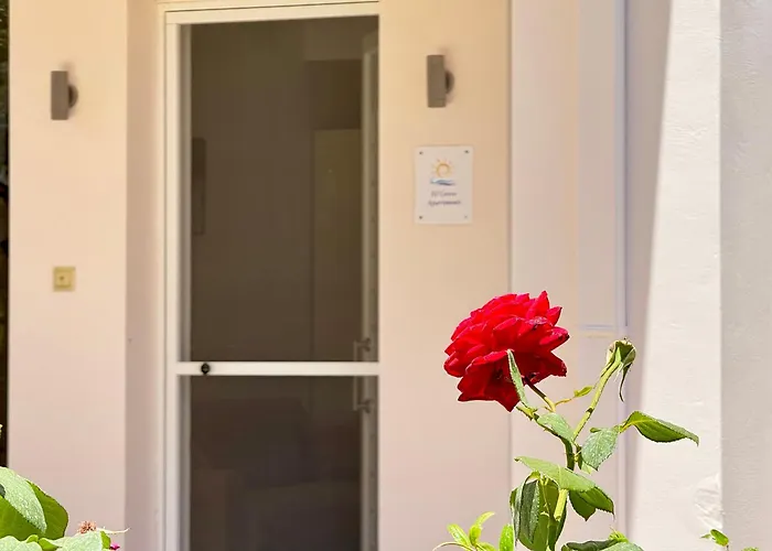 Spacious & Cozy Apartment, With Big Yard, In *